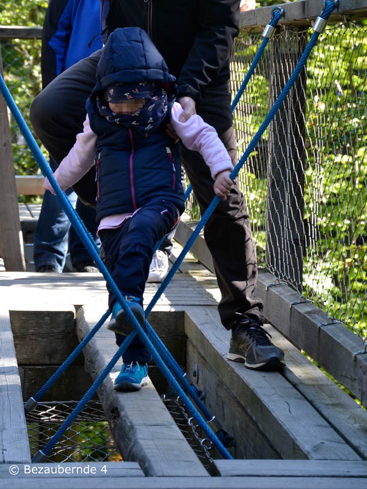 Spannende Wege für Kinder am Baumwipfelpfad