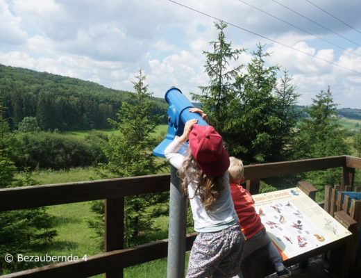 Hahnenkamm Erlebnispfad: Wandern mit Kindern