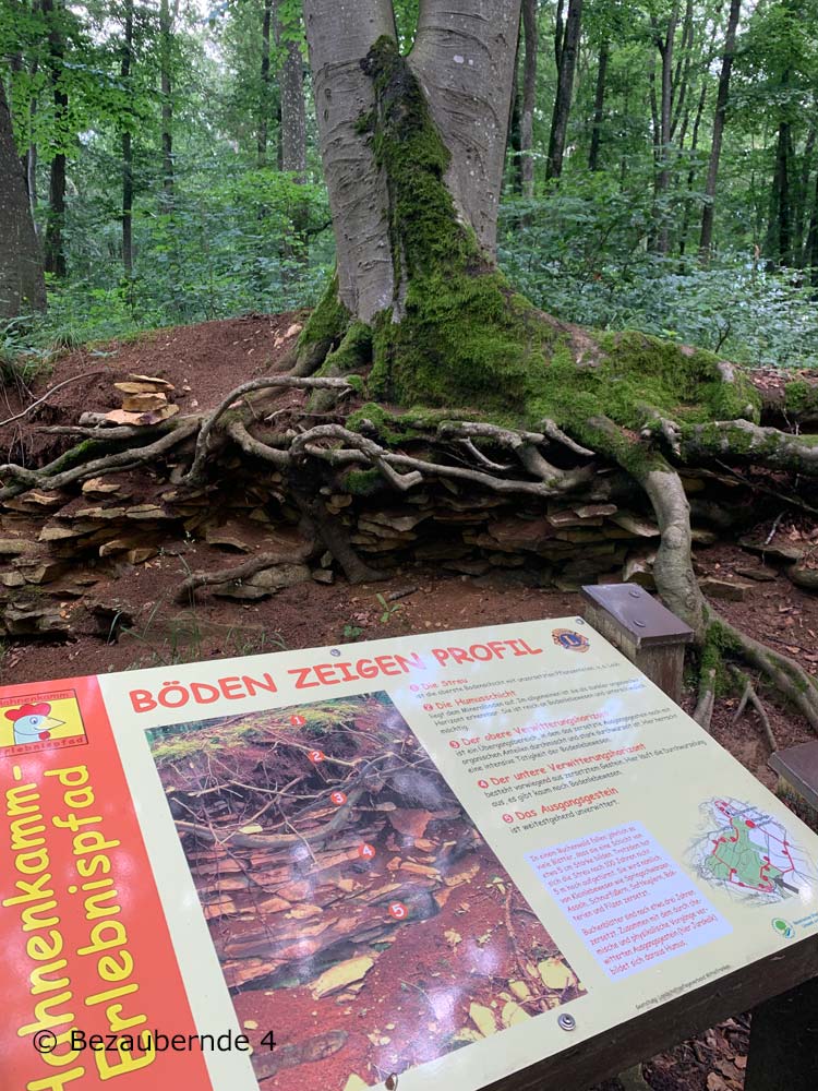 Hahnenkamm Erlebnispfad: Wandern mit Kindern