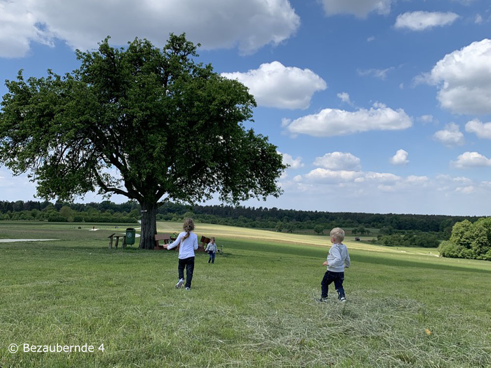 Felder bei der Wanderung auf dem Kirschblütenweg in Kalchreuth