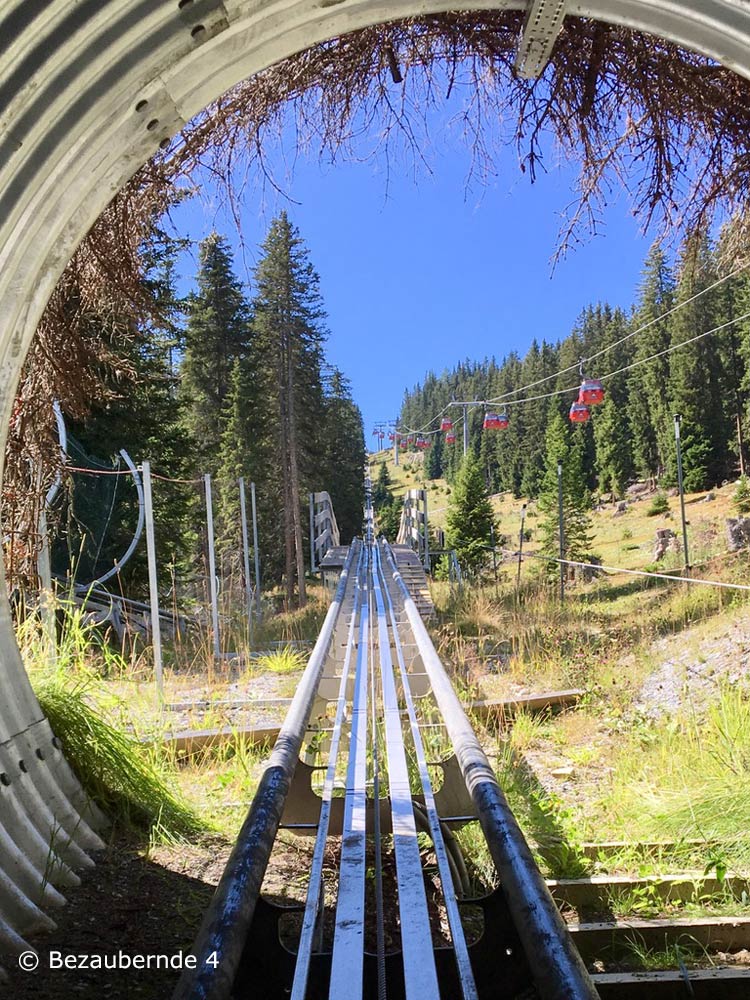 Sommerrodelbahn