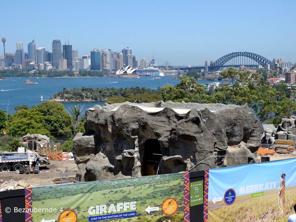 Blick vom Taronga Zoo auf Sydney: eine tolle Kulisse