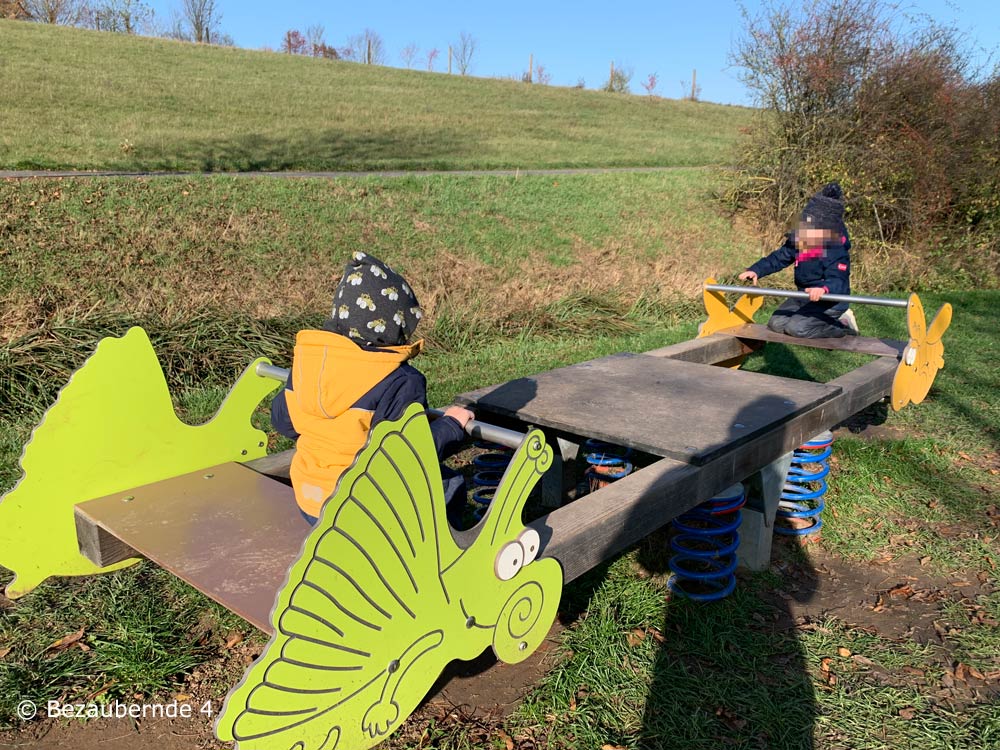 Wenn man mit den Kindern in der Nähe von Erlangen wandert, trifft man auf diese tolle Wippe.