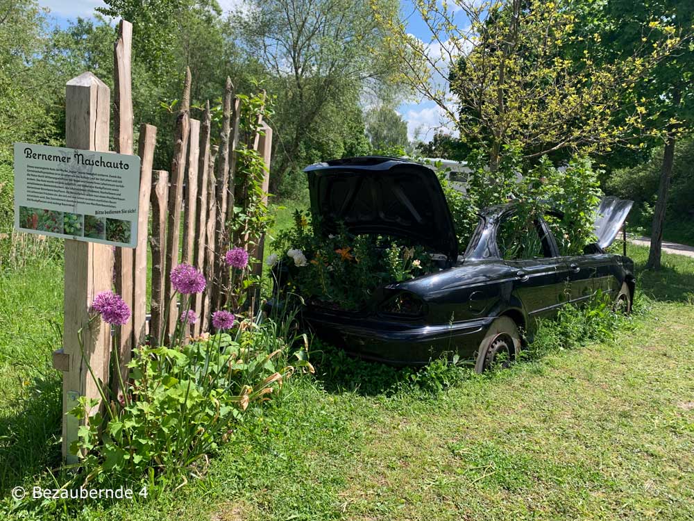 Das bepflanzte Naschauto am Streuobsterlebnispfad Burgbernheim