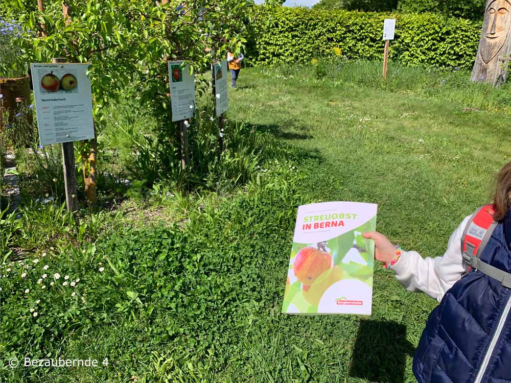 Streuobsterlebnispfad Burgbernheim für Kinder