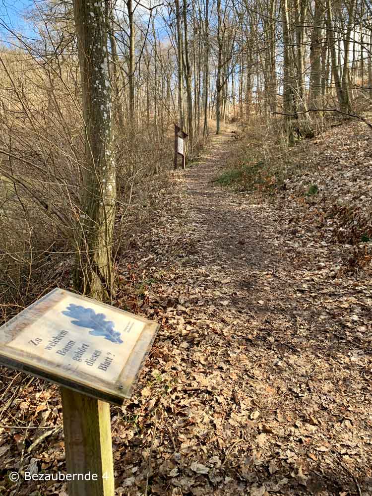 Wandern mit Kindern in Franken am Petersberg
