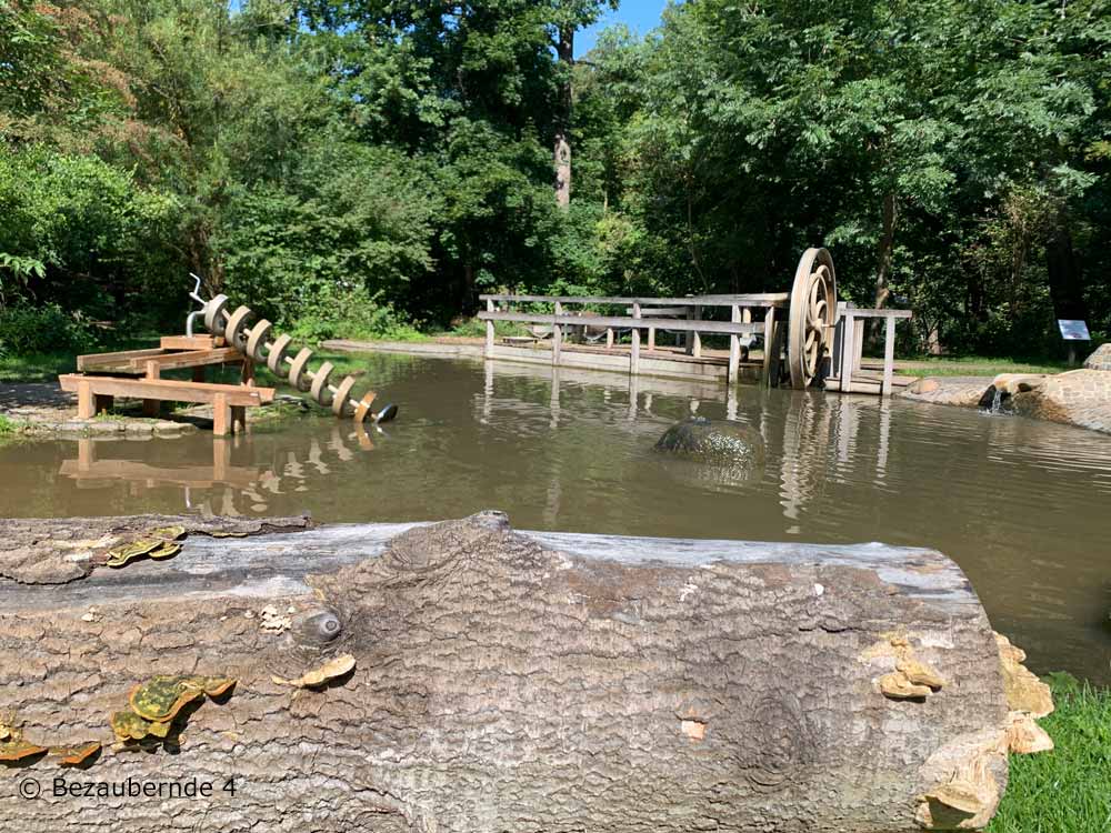 Erfahrungsfeld der Sinne Nürnberg - bezaubernde4.de